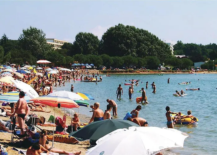 Cozy In With Sauna 펜션